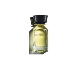 Omanluxury Wanderlust Unisex Eau De parfum